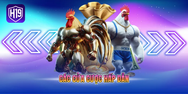 Các cửa cược hấp dẫn
